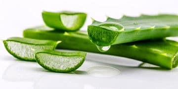 Aloe vera nasıl kullanılır? Sağlık ve cilt için faydaları nelerdir?