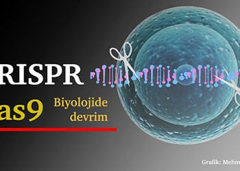 Biyolojide devrim! CRISPR/Co9 teknolojisi ile cilt hücreleri kök hücreye dönüştürüldü
