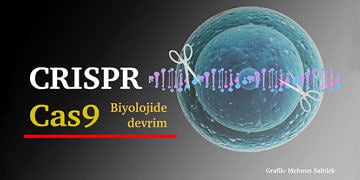 Biyolojide devrim! CRISPR/Co9 teknolojisi ile cilt hücreleri kök hücreye dönüştürüldü