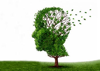 Erken teşhis ve etkili tedavi ile Alzhmeimer’dan kurtulmak mümkün