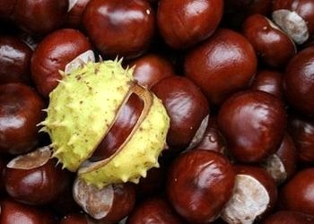 Dikenli sert kabuğun altındaki şifa kaynağı