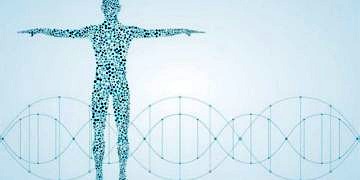 İnsan vücudunda son 3 yılda yapılan 3 büyük keşif