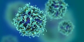 Ferroptozis: Kanser hücrelerini yağsız bırakmak tedavi başarısını artırabilir