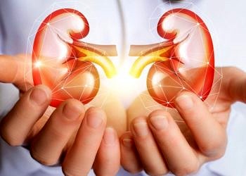 Böbrek sağlığı hakkında doğru sanılan 8 yanlış