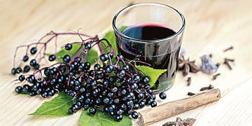 Mürver nedir, nasıl kullanılır? Çayı ve şurubunun faydaları nelerdir?