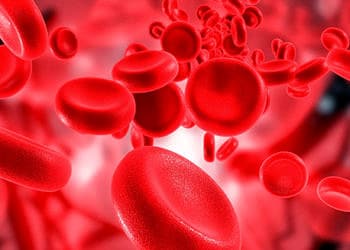 Trombosit nedir? PLT düşüklüğü ve yüksekliği ne tür sorunlar yaratır?