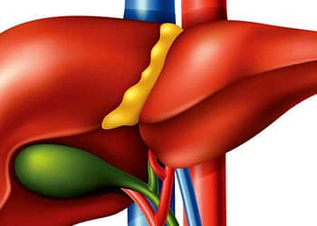 Safra kesesi hastalıkları ve taşı neden olur? Belirtileri ve tedavisi