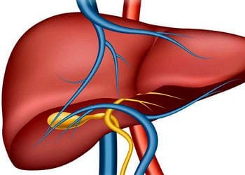 Safra kesesi hastalıkları ve taşı neden olur? Belirtileri ve tedavisi