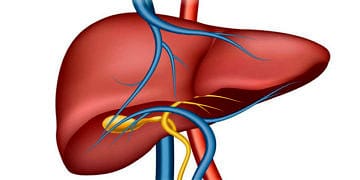 Safra kesesi hastalıkları ve taşı neden olur? Belirtileri ve tedavisi