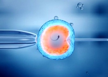 Embriyo nedir? Transferi nasıl yapılır? Aşamaları ve riskleri