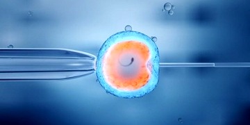 Embriyo nedir? Transferi nasıl yapılır? Aşamaları ve riskleri