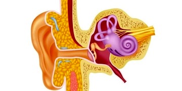 Vertigo nedir? Neden olur? Vertigonun belirtileri ve tedavisi