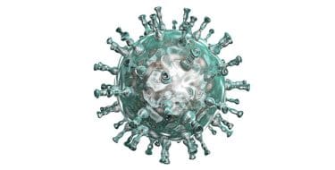 Varicella zoster virüsü