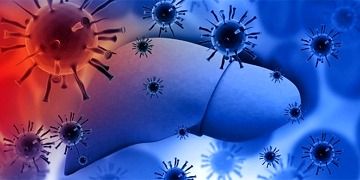 Karaciğer kanseri vakalarının en az %60’ının nedeni viral hepatitler!