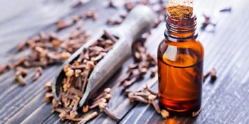 Karanfil yağı neye iyi gelir? Karanfilin faydaları nelerdir?