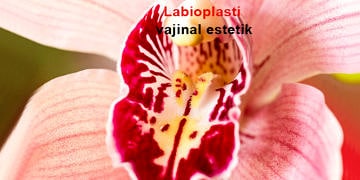 Labioplasti nedir? Labiaplasty ameliyatı nasıl yapılır, tehlikeli midir?