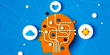 Triptofan nedir? Faydaları nelerdir? Eksikliği ve tedavisi