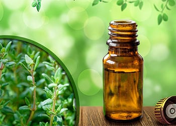 Hindistan cevizi yağı neye iyi gelir? Faydaları nelerdir, nasıl kullanılır?