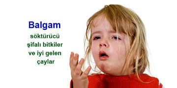 Balgama ne iyi gelir? Balgam söktürücü şifalı bitkiler ve çaylar