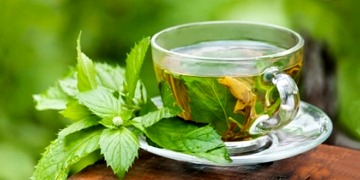 Melisa çayı nasıl demlenir? Melisa çayının faydaları ve zararları