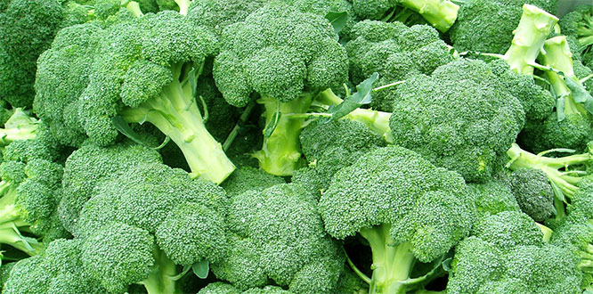 Avokado ve brokoli kalbi koruyor