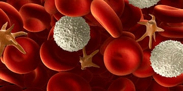 Lenfosit (LYM) nedir? Neye yarar? Düşüklüğü ve yüksekliği neden olur?