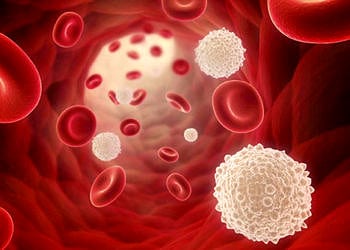 Lenfosit (LYM) nedir? Neye yarar? Düşüklüğü ve yüksekliği neden olur?