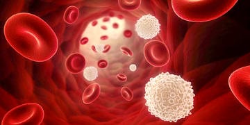 Lenfosit (LYM) nedir? Neye yarar? Düşüklüğü ve yüksekliği neden olur?