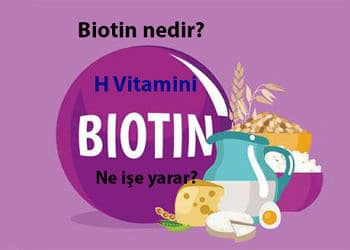 Biotin (H Vitamini) nedir? Ne işe yarar? Faydaları nelerdir?