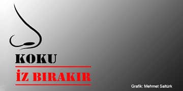 Eş seçiminden ölüm zamanımıza kadar; hayatımıza yön veren kokular!