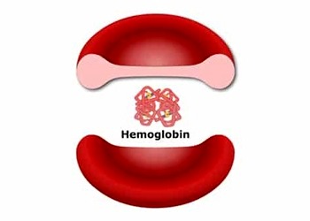 Hemoglobin nedir? Düşüklüğü neden olur? HGB testi