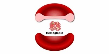 Hemoglobin nedir? Düşüklüğü neden olur? HGB testi