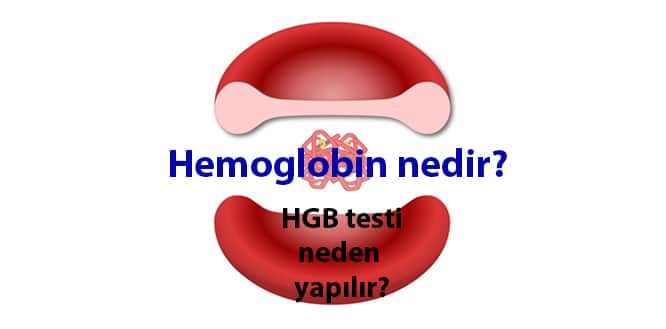 Türk Hematoloji Derneği