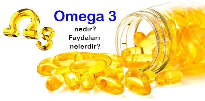 Omega 3 Nedir Ne Ise Yarar Faydalari Nelerdir Hangi Gidalarda Bulunur