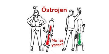 Östrojen nedir? Ne işe yarar? Eksikliği ve fazlalığı ne tür sorunlar yaratır?