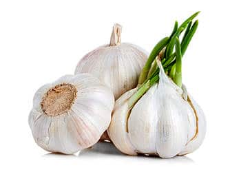Sarımsak neye iyi gelir, nasıl tüketilmeli? Faydaları ve zararları