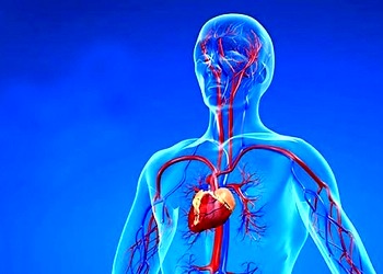 Anjiyo nedir? Nasıl yapılır, ne işe yarar? Riskleri nelerdir?