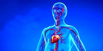 Anjiyo nedir? Nasıl yapılır, ne işe yarar? Riskleri nelerdir?