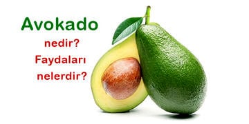Avakadonun faydaları nelerdir? Avokado nasıl yenir?