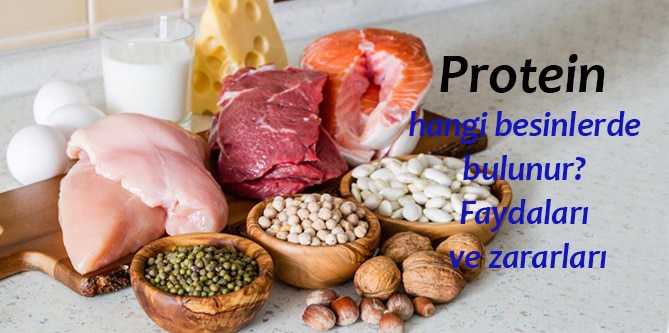 protein sağlık yararları kalp)