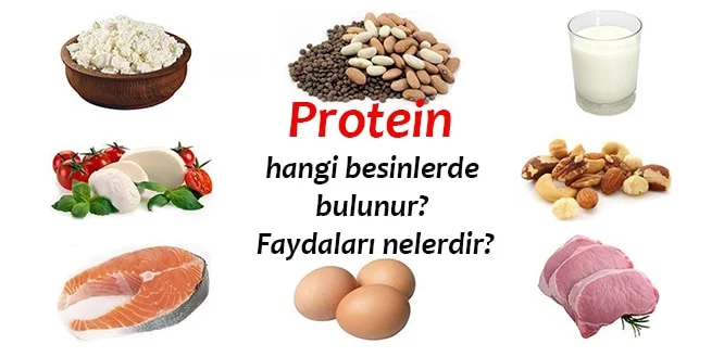 yüksek tansiyona karşı proteinler