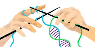 Zeka geni anneden mi yoksa babadan mı geçer? X mi yoksa Y mi?