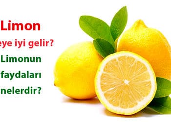 Limonun faydaları nelerdir? Limon suyu ve kabuğu neye iyi gelir?