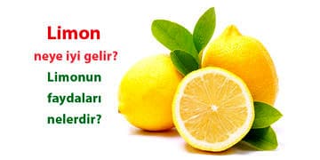 Limonun faydaları nelerdir? Limon suyu ve kabuğu neye iyi gelir?