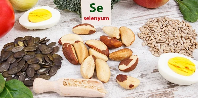 Selenyum Nedir Hangi Besinlerde Bulunur Faydalari Ve Eksikligi