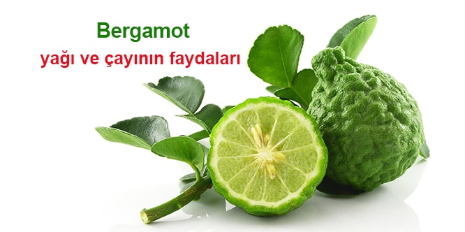 Bergamotun Faydalari Nelerdir Bergamot Yagi Ve Cayi Neye Iyi Gelir