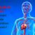 Kardiyoloji nedir? Kardiyolog ne iş yapar? En riskli kalp hastalıkları
