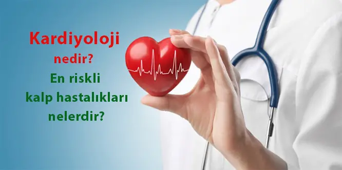 sağlık eğitimi kalp yetmezliği hasta yolculuğu)