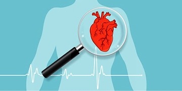 Nabız nedir, nasıl ölçülür? Normal hızı kaçtır? Nasıl düşürülür?