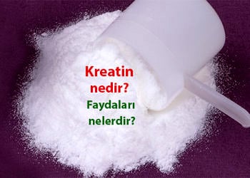 Kreatin nedir? Nasıl kullanılır? Faydaları ve zararları nelerdir?